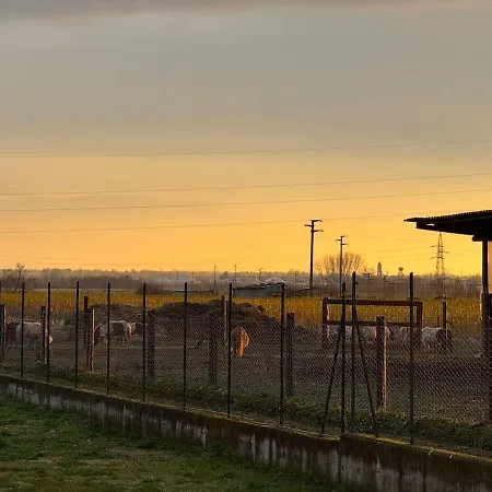 別荘 Casa Cecilia, Natura & Relax Villanova d'Asti